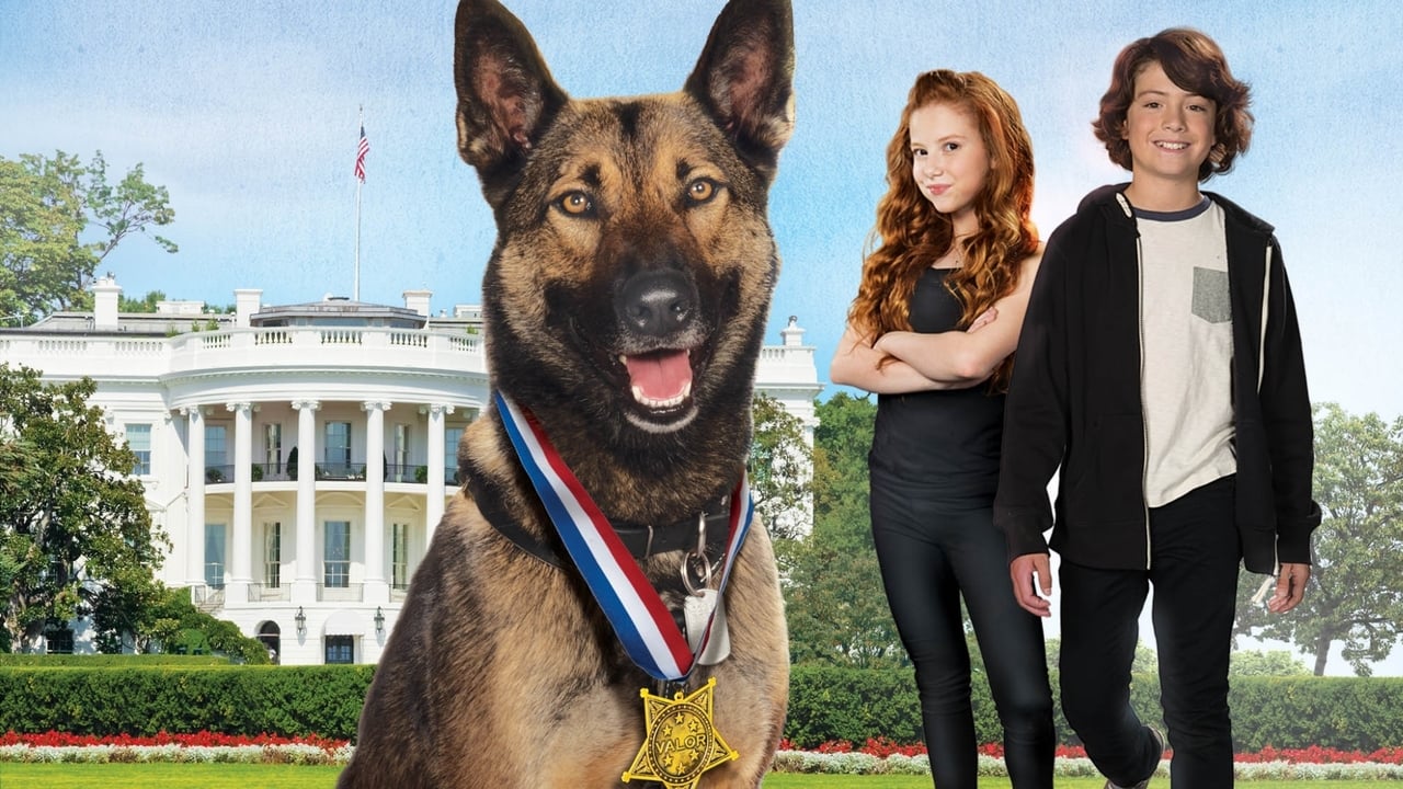 Max 2: White House Hero gdzie obejrzeć