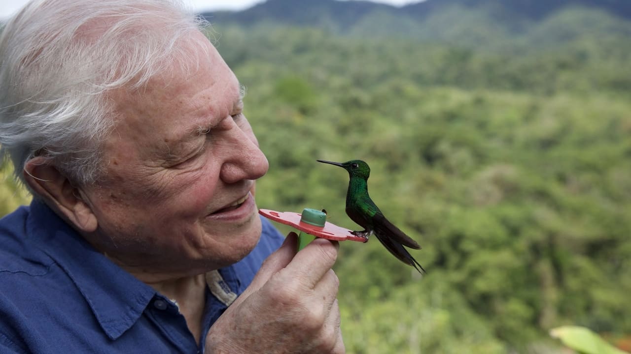 David Attenborough: Życie w kolorze gdzie obejrzeć