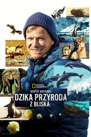 Bertie Gregory: Dzika przyroda z bliska