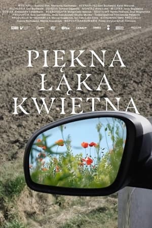 Piękna łąka kwietna