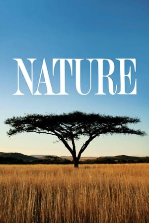 Nature cały sezon 33 online