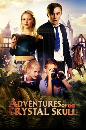 Adventures of the Crystal Skull cały film online