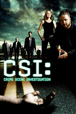 CSI: Kryminalne zagadki Las Vegas cały sezon 2 online