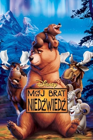 Mój brat niedźwiedź cały film online