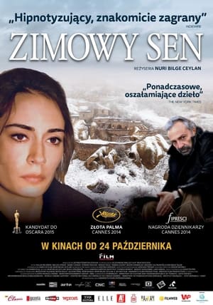 Zimowy sen