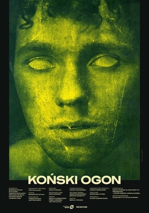 Koński ogon cały film online