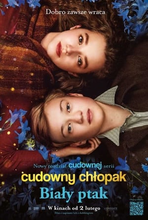 Cudowny chłopak. Biały ptak cały film online