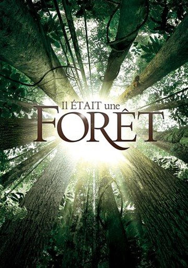 Animacja o tajemnicach lasu