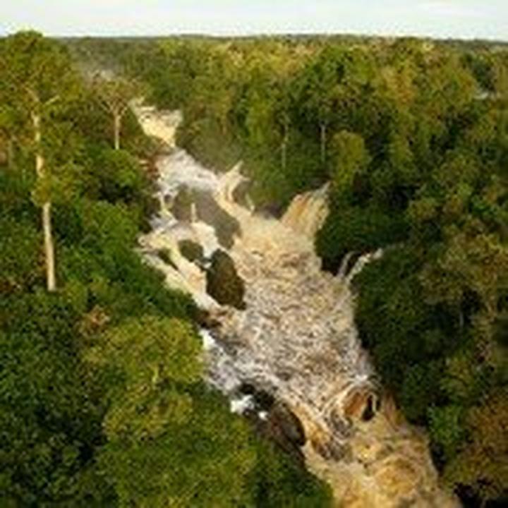 Był sobie las animacja edukacyjna