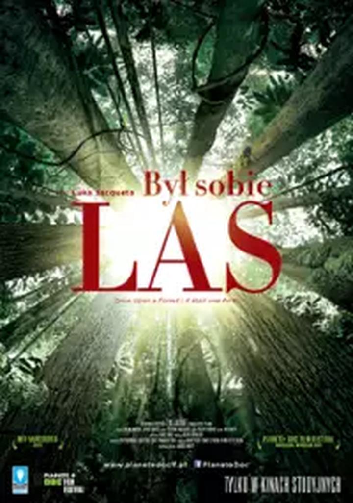 Ekosystem leśny i edukacja ekologiczna