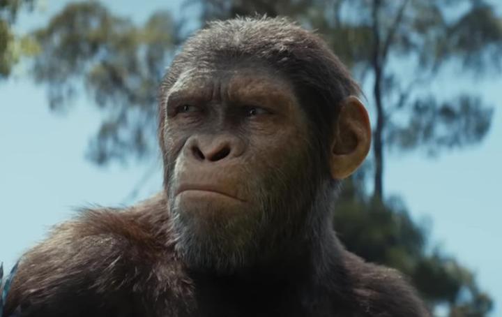 Kontekst społeczny i kulturowy serii