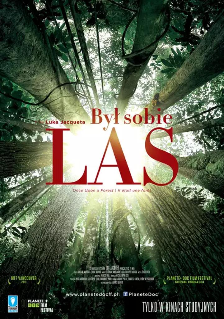 Wizualne piękno i zielona estetyka