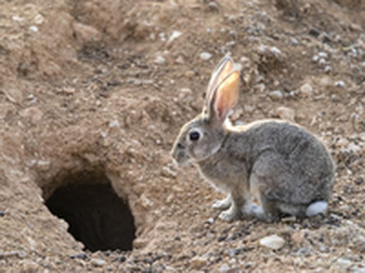 Zanurz się w tajemnice: Rabbit Hole - recenzja nowego serialu sensacyjnego z 2023 roku