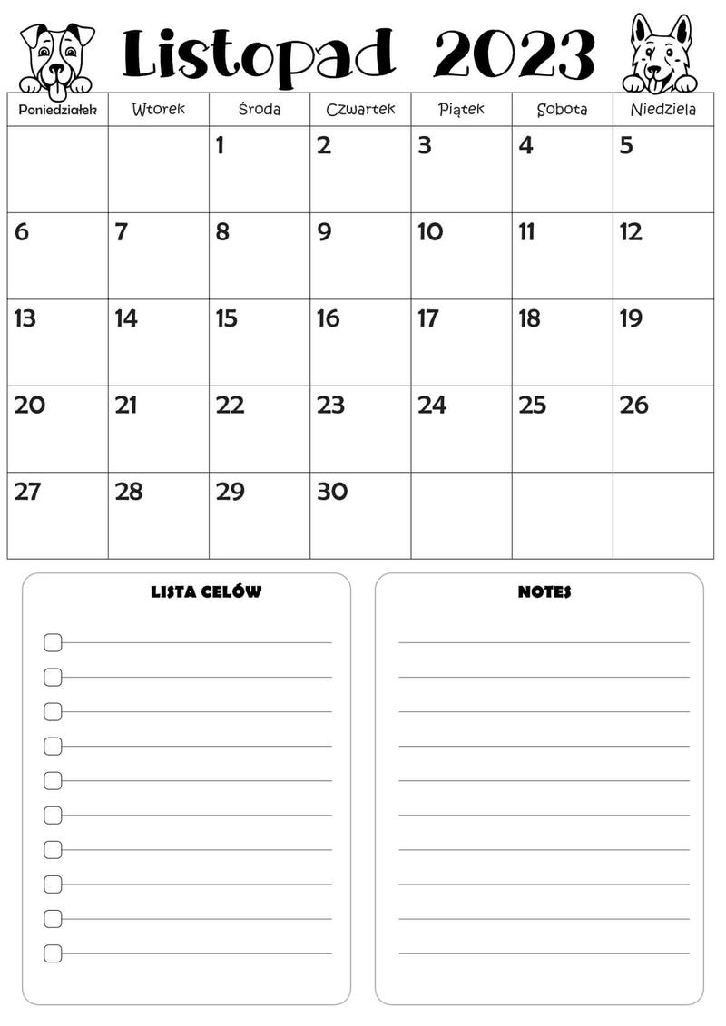 Listopadowe premiery kinowe