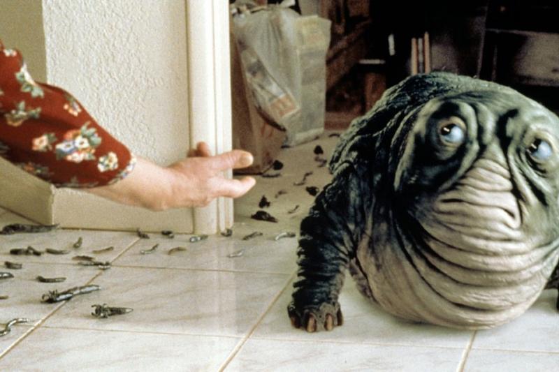 Ewolucja gatunków filmowych na przykładzie najnowszych premier w kinach