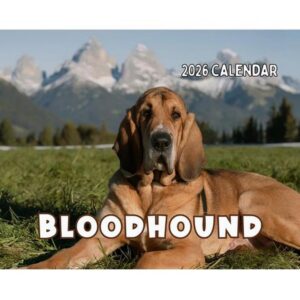 Zagadka Bloodhounds 2026: Tajemnice i morderstwa w śledztwie, które wstrząsnęło światem